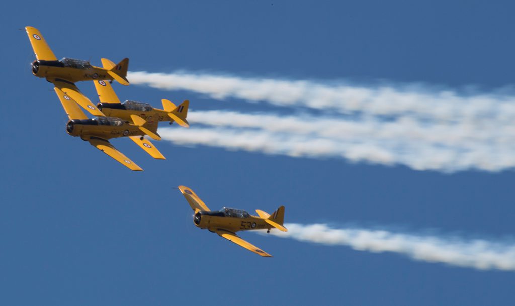 Canadian Armed Forces Day & Air Show